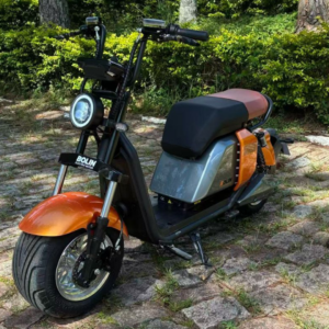 Moto Elétrica 1000W.